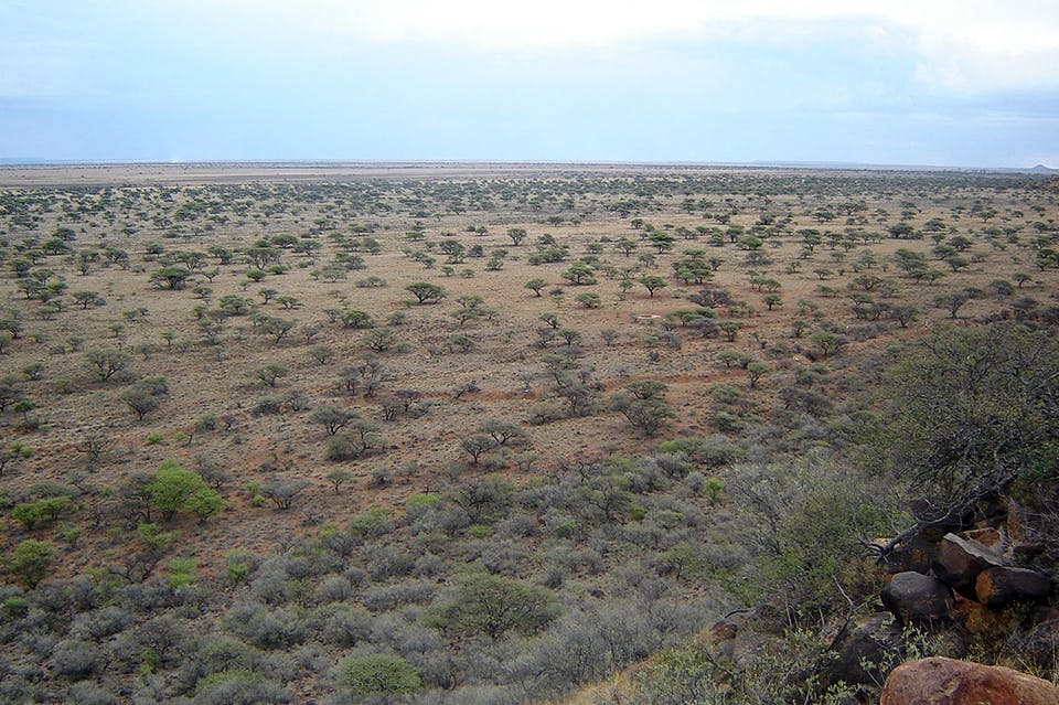 magersfontein lopgravar mOE12mtXboBlMGvHe